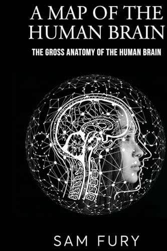 A Map of the Human Brain