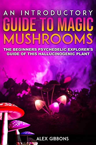 An Introductory Guide to Magic Mushrooms