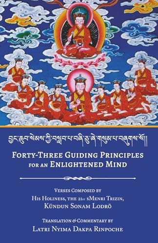 Forty-Three Guiding Principles for an Enlightened Mind