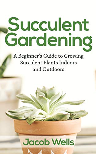 Succulent Gardening