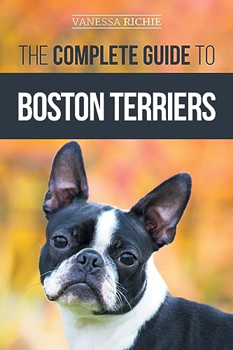 The Complete Guide to Boston Terriers