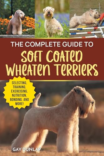 The Complete Guide to Soft Coated Wheaten Terriers