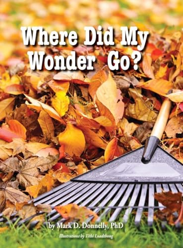 Where Did My Wonder Go?