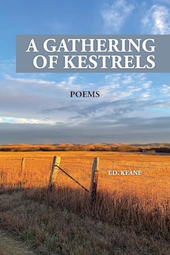 A GATHERING OF KESTRELS