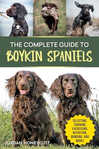 The Complete Guide to Boykin Spaniels