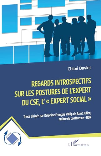 Regards introspectifs sur les postures de l'expert du CSE, l''expert social',