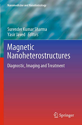 Magnetic Nanoheterostructures