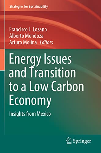 Energy Issues and Transition to a Low Carbon Economy