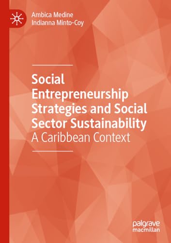 Social Entrepreneurship Strategies and Social Sector Sustainability