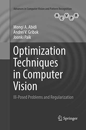 Optimization Techniques in Computer Vision