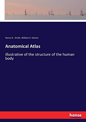 Anatomical Atlas