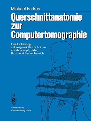 Querschnittanatomie Zur Computertomographie