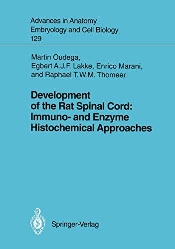 Development of the Rat Spinal Cord