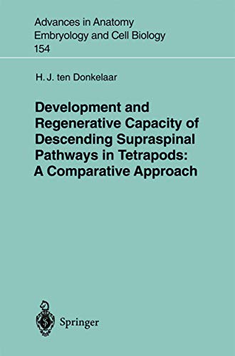 Development and Regenerative Capacity of Descending Supraspinal Pathways in Tetrapods