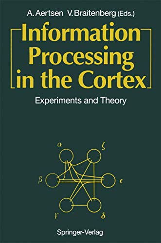 Information Processing in the Cortex