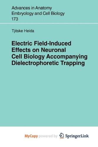 Electric Field-Induced Effects on Neuronal Cell Biology Accompanying Dielectrophoretic Trapping
