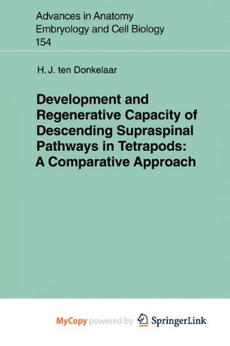 Development and Regenerative Capacity of Descending Supraspinal Pathways in Tetrapods