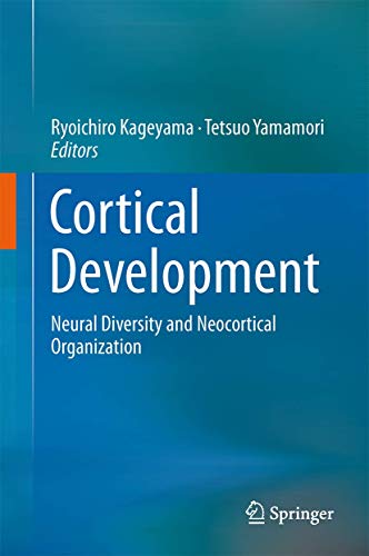 Cortical Development