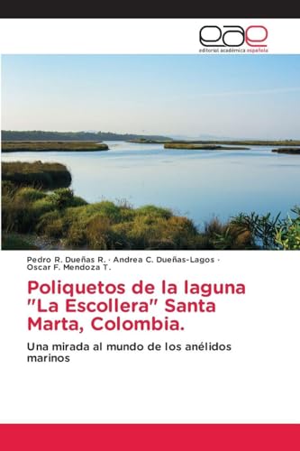 Poliquetos de la laguna 'La Escollera' Santa Marta, Colombia.