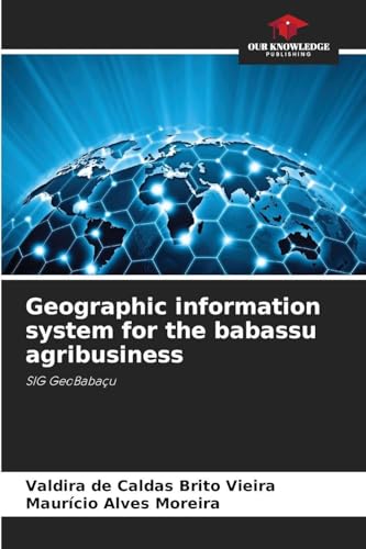 Geographic information system for the babassu agribusiness