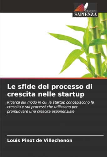 Le sfide del processo di crescita nelle startup
