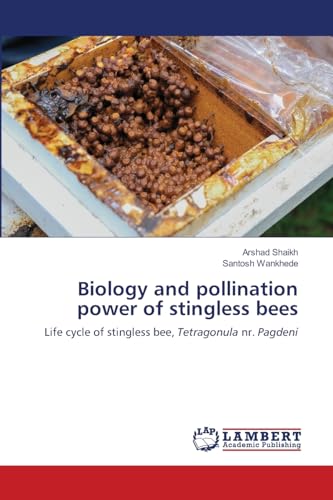 Biology and pollination power of stingless bees