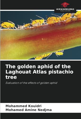 The golden aphid of the Laghouat Atlas pistachio tree