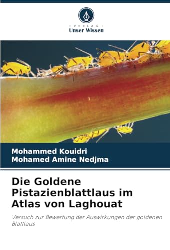 Die Goldene Pistazienblattlaus im Atlas von Laghouat