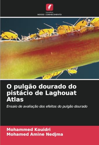 O pulgão dourado do pistácio de Laghouat Atlas