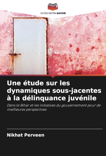 Une étude sur les dynamiques sous-jacentes à la délinquance juvénile