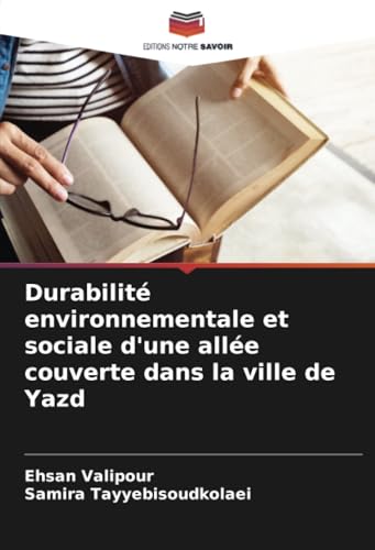 Durabilité environnementale et sociale d'une allée couverte dans la ville de Yazd