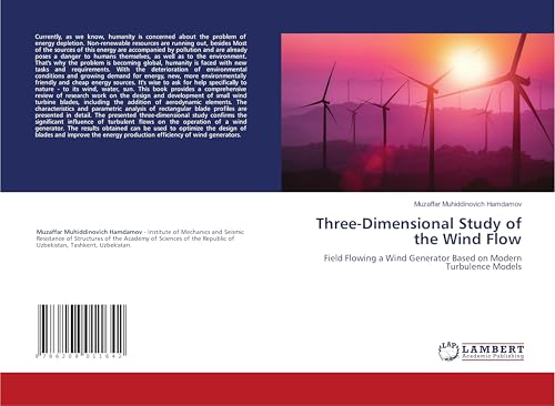 Three-Dimensional Study of the Wind Flow