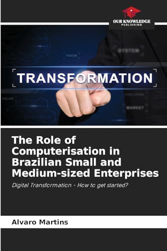 The Role of Computerisation in Brazilian Small and Medium-sized Enterprises