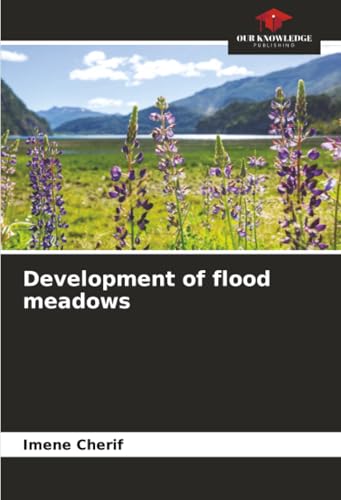 Development of flood meadows