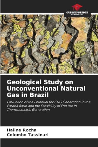 Geological Study on Unconventional Natural Gas in Brazil