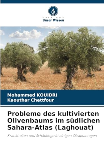 Probleme des kultivierten Olivenbaums im südlichen Sahara-Atlas (Laghouat)
