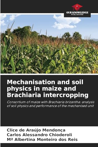 Mechanisation and soil physics in maize and Brachiaria intercropping