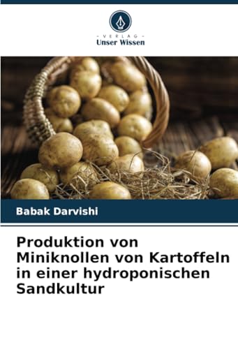 Produktion von Miniknollen von Kartoffeln in einer hydroponischen Sandkultur