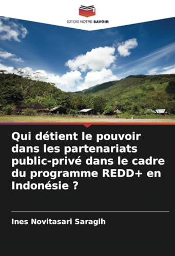 Qui détient le pouvoir dans les partenariats public-privé dans le cadre du programme REDD+ en Indonésie ?