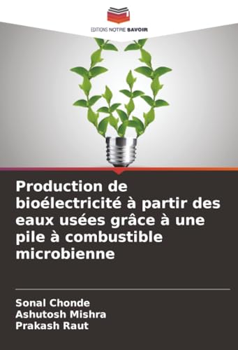Production de bioélectricité à partir des eaux usées grâce à une pile à combustible microbienne