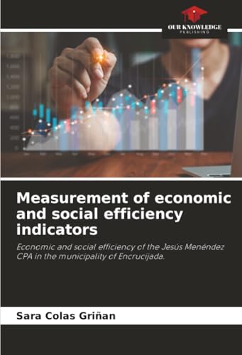 Measurement of economic and social efficiency indicators