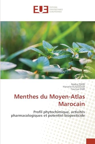 Menthes du Moyen-Atlas Marocain