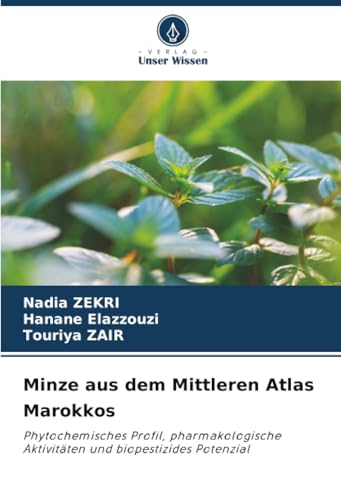 Minze aus dem Mittleren Atlas Marokkos