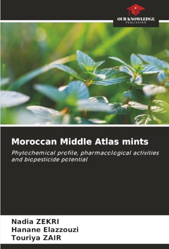 Moroccan Middle Atlas mints