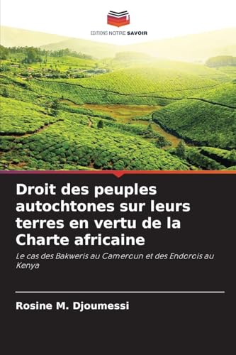 Droit des peuples autochtones sur leurs terres en vertu de la Charte africaine