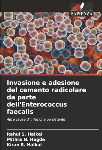 Invasione e adesione del cemento radicolare da parte dell'Enterococcus faecalis