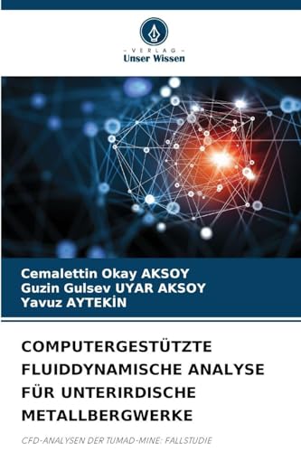 COMPUTERGESTÜTZTE FLUIDDYNAMISCHE ANALYSE FÜR UNTERIRDISCHE METALLBERGWERKE
