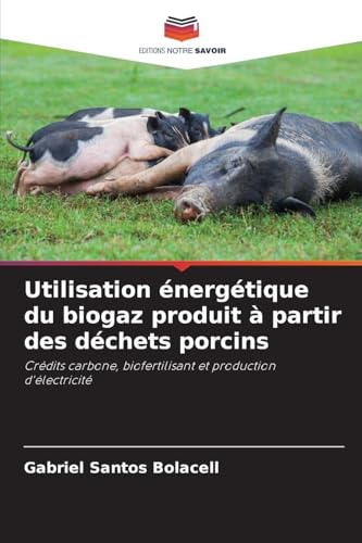 Utilisation énergétique du biogaz produit à partir des déchets porcins