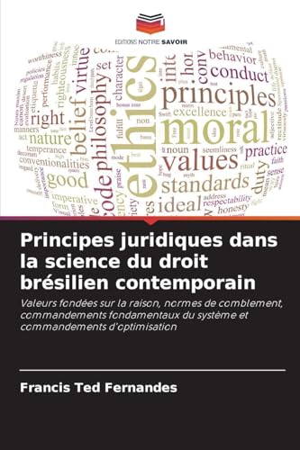 Principes juridiques dans la science du droit brésilien contemporain