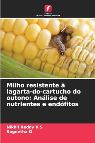 Milho resistente à lagarta-do-cartucho do outono